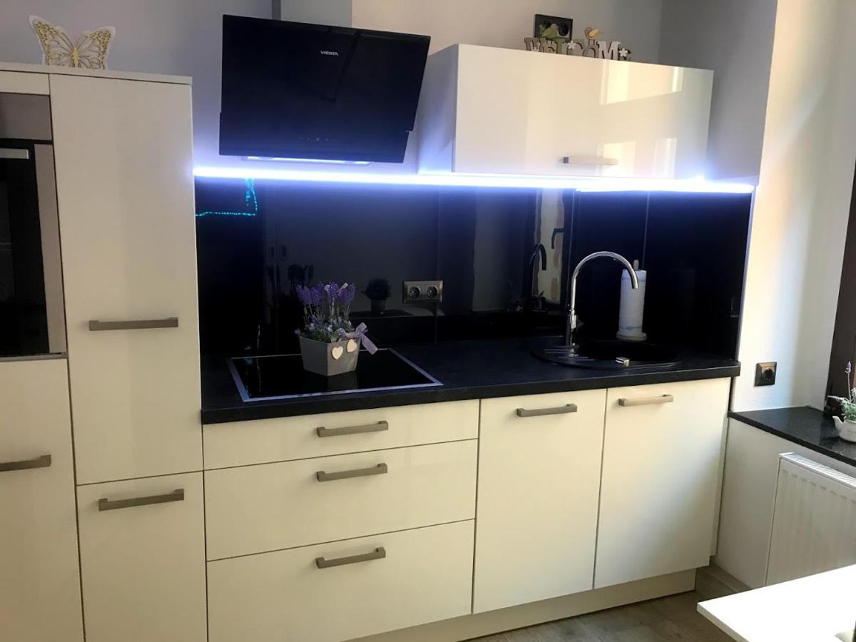 Salzhausblick Business Apartments - Zentrale Lage Am Salzhaus - Mwst-Rechnung Verfuegbar Zittau Camera foto